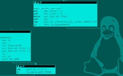 New Syslogk Linux Rootkit Lets Attackers Remotely Command It Using “Magic Packets”